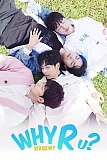 Постер к дораме Почему ты? (корейская версия)