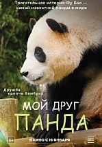 Постер к дораме Мой друг панда