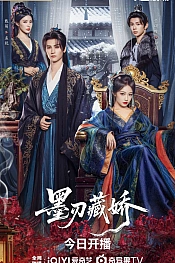 Постер к дораме Красавица чернильного клиника