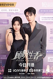 Постер к дораме Смешанные чувства