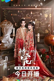 Постер к дораме Его фаворитка