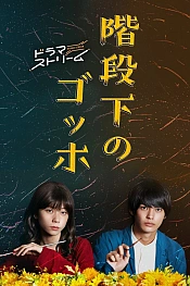 Постер к дораме Ван Гог под лестницей