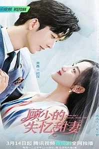 Постер к дораме Амнезия жены мистера Гу