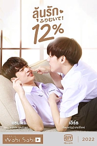 Постер к дораме Мои единственные 12%