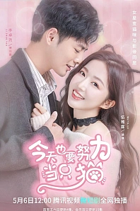 Постер к дораме Моя любимая кошечка