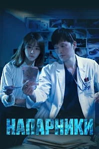 Постер к дораме Напарники