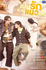 Постер к дораме Кот за деньги