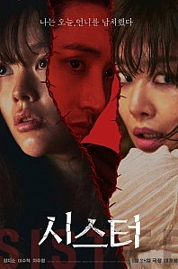 Постер к дораме Сестра