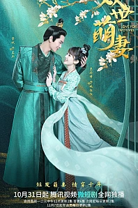 Постер к дораме Два мира - одна жена